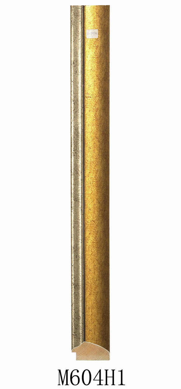 M604H1