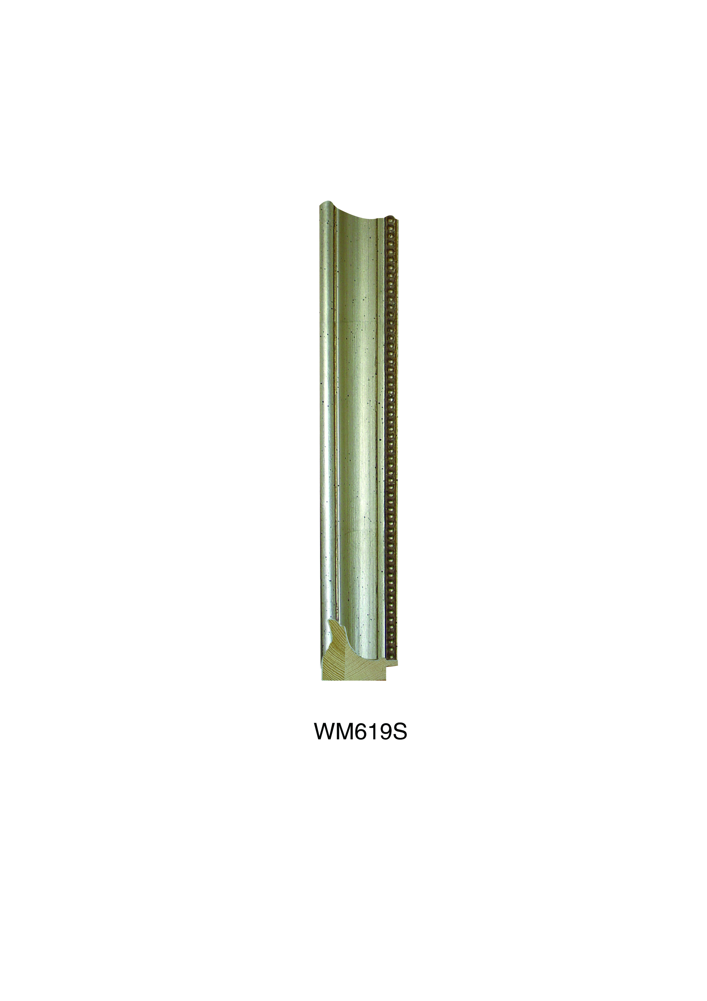 WM619S