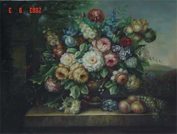 CF30028