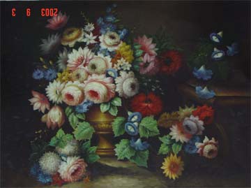 CF30031