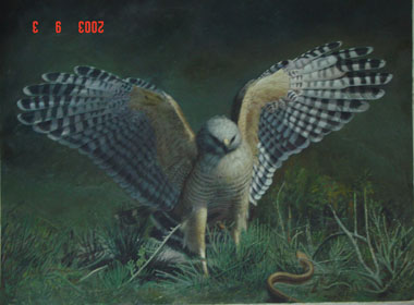 CL30027
