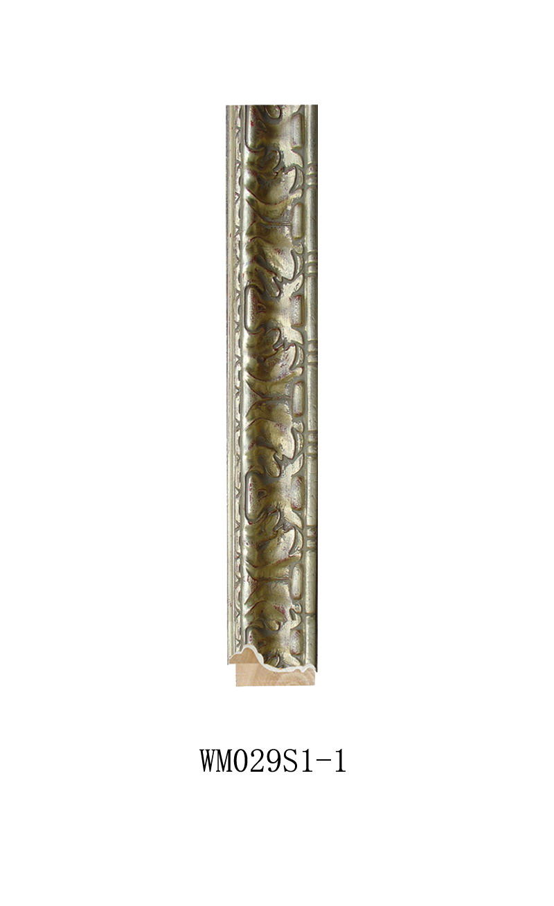 WM029S1-1