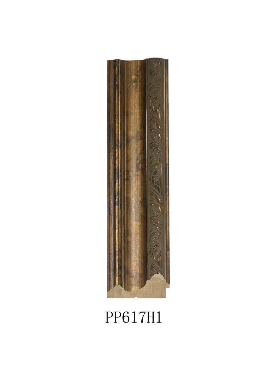 PP617H1