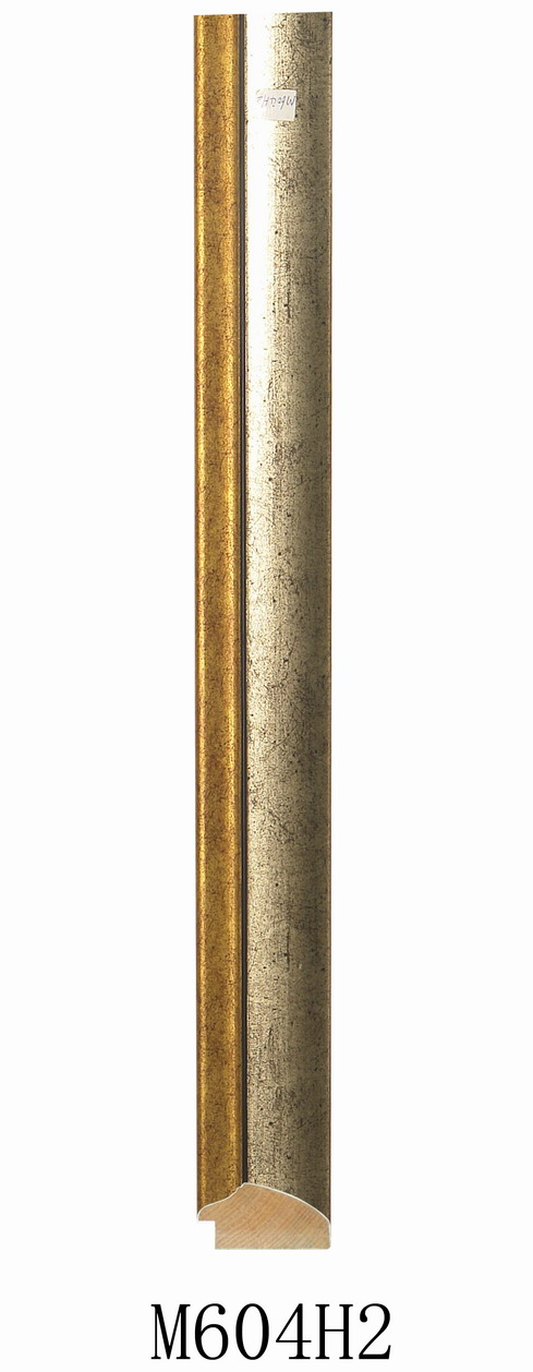 M604H2